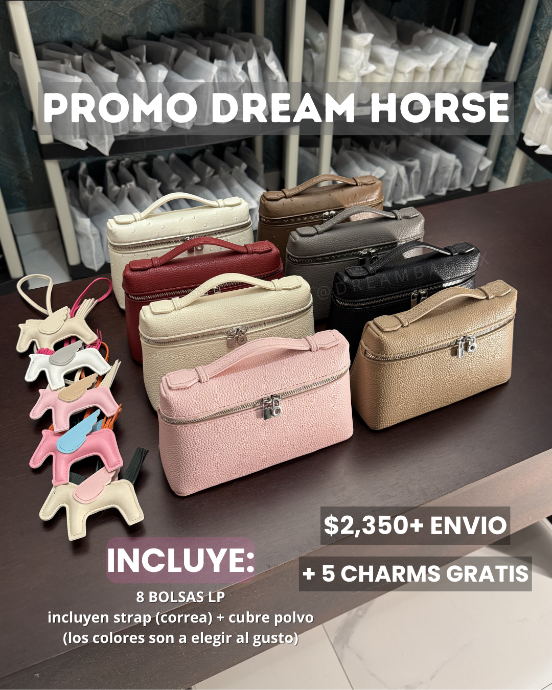 PROMO DREAM HORSE